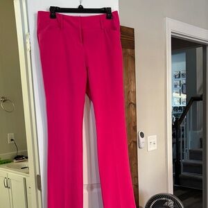 New York & Company Fuchsia Flare Pants